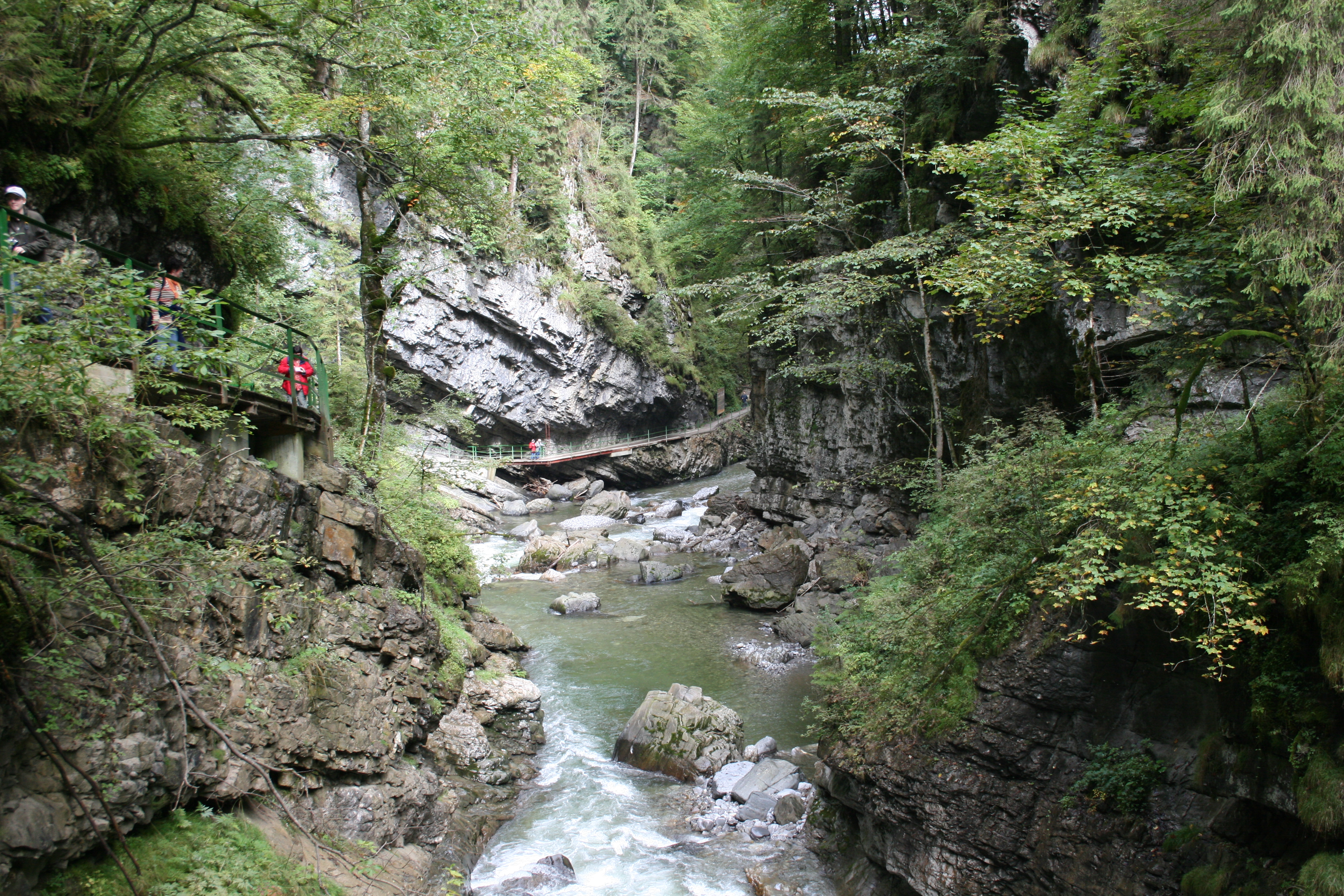 Platzhalter-Bild